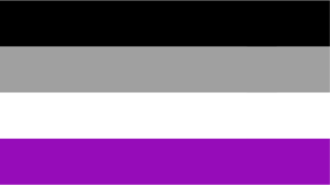bandera asexualidad
